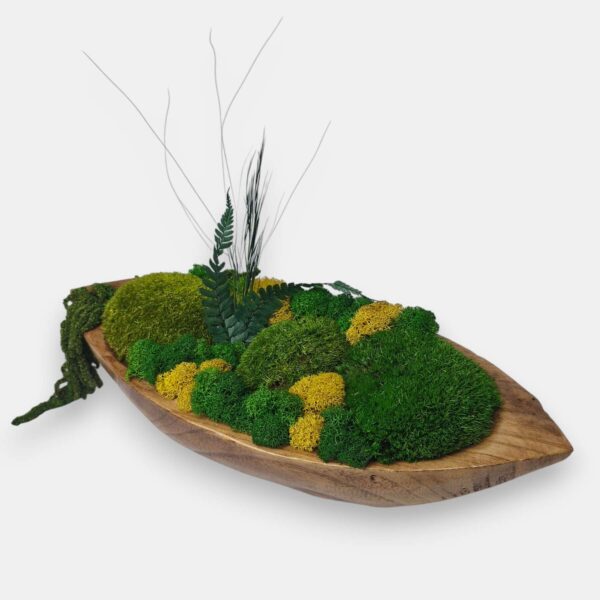 Drewniana misa M z mchem i roślinami stabilizowanymi