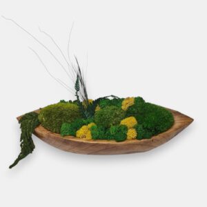 Drewniana misa M z mchem i roślinami stabilizowanymi