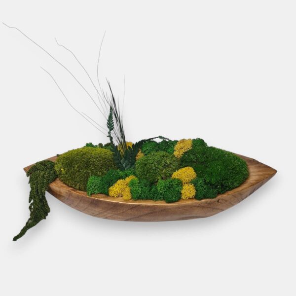 Drewniana misa M z mchem i roślinami stabilizowanymi