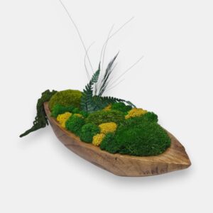 Drewniana misa M z mchem i roślinami stabilizowanymi