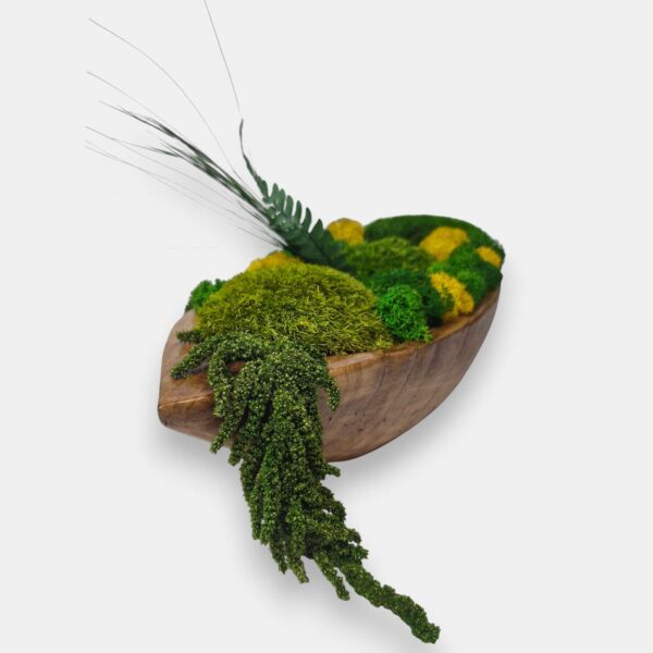 Drewniana misa M z mchem i roślinami stabilizowanymi