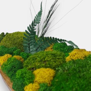 Drewniana misa M z mchem i roślinami stabilizowanymi