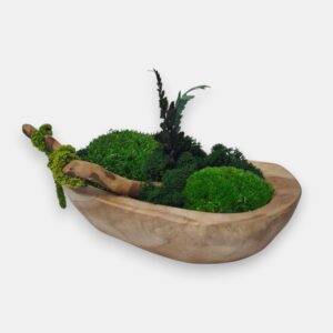 Drewniana misa S z mchem i roślinami stabilizowanymi