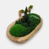 Drewniana misa S z mchem i roślinami stabilizowanymi