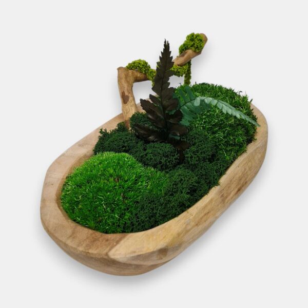 Drewniana misa S z mchem i roślinami stabilizowanymi