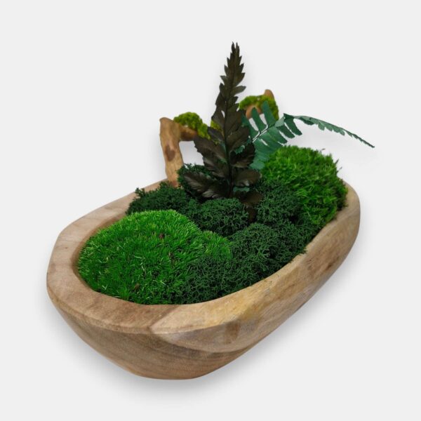 Drewniana misa S z mchem i roślinami stabilizowanymi