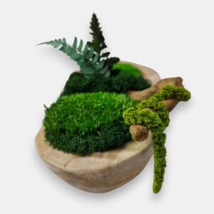 Drewniana misa S z mchem i roślinami stabilizowanymi