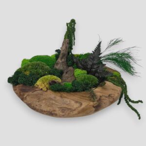 Drewniana misa XL z mchem i roślinami stabilizowanymi góra