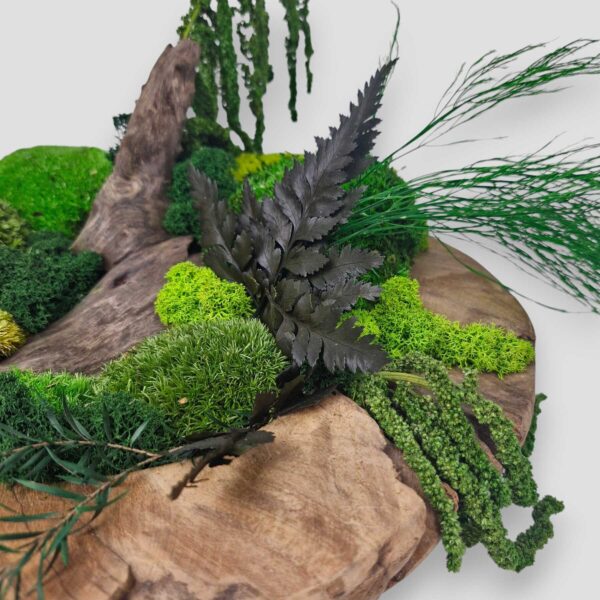Drewniana misa XL z mchem i roślinami stabilizowanymi góra