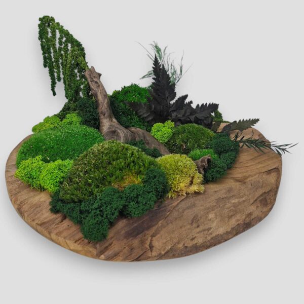 Drewniana misa XL z mchem i roślinami stabilizowanymi góra