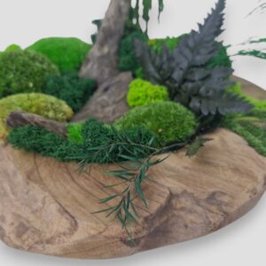 Drewniana misa XL z mchem i roślinami stabilizowanymi góra