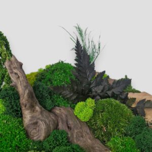 Drewniana misa XL z mchem i roślinami stabilizowanymi góra