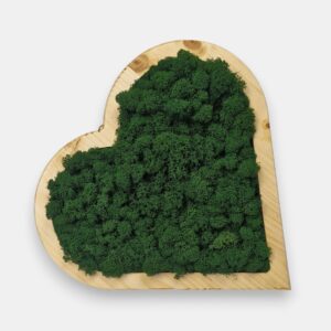 Drewniane serce z mchem chrobotkiem 2w1