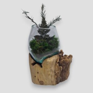 Mały klosz z mchem i roślinami na korzeniu tekowym bok