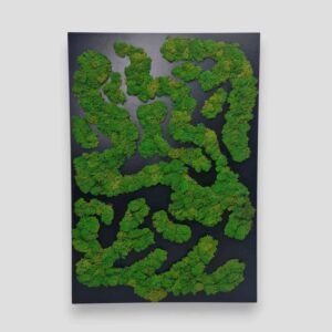 Obraz z mchu chrobotka Nature Rivers