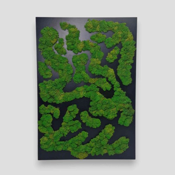 Obraz z mchu chrobotka Nature Rivers