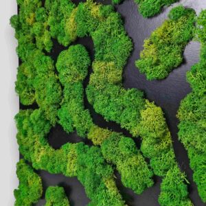 Obraz z mchu chrobotka Nature Rivers