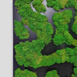 Obraz z mchu chrobotka Nature Rivers