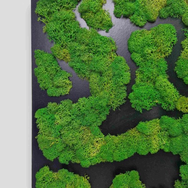 Obraz z mchu chrobotka Nature Rivers