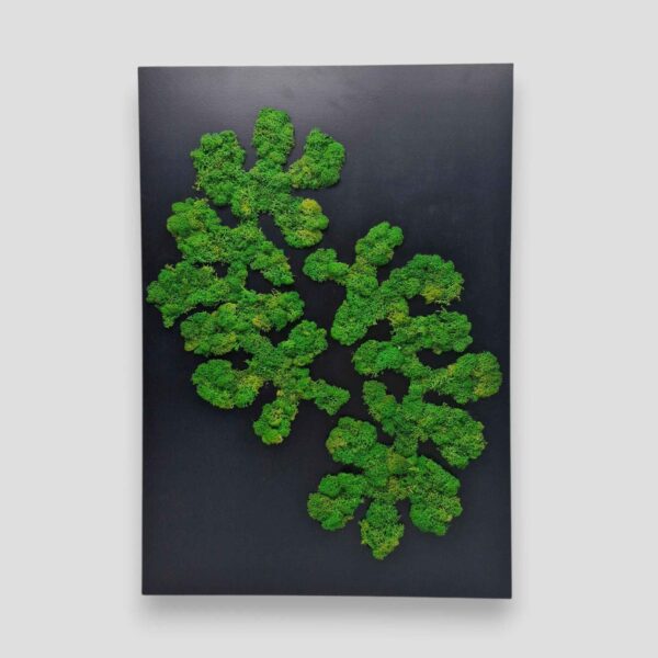 Obraz z mchu chrobotka pulse of nature