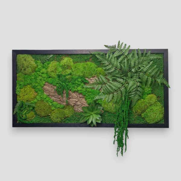 Obraz z mchu mieszanego Green Forest