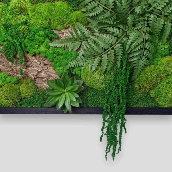 Obraz z mchu mieszanego Green Forest