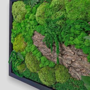 Obraz z mchu mieszanego Green Forest