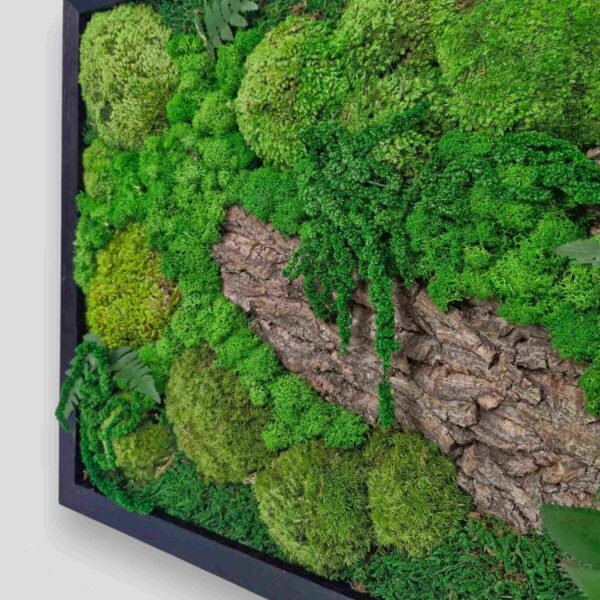 Obraz z mchu mieszanego Green Forest