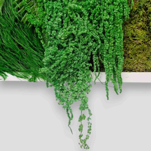 Obraz z mchu płaskiego Green Horizon