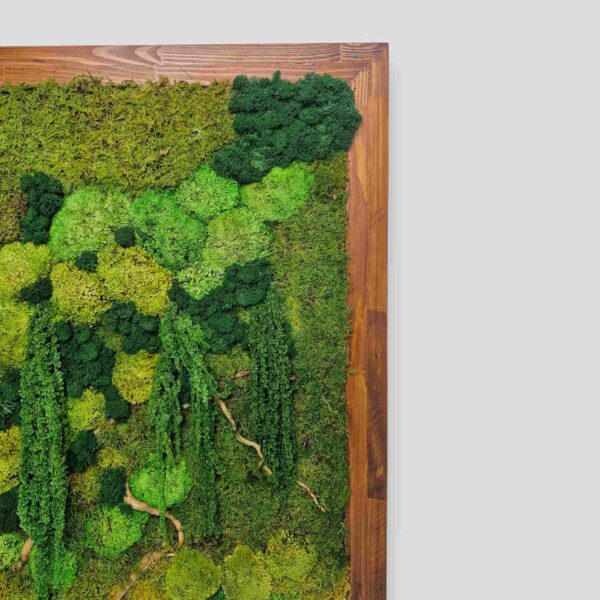 Obraz z mchu mieszanego Jungle Essence