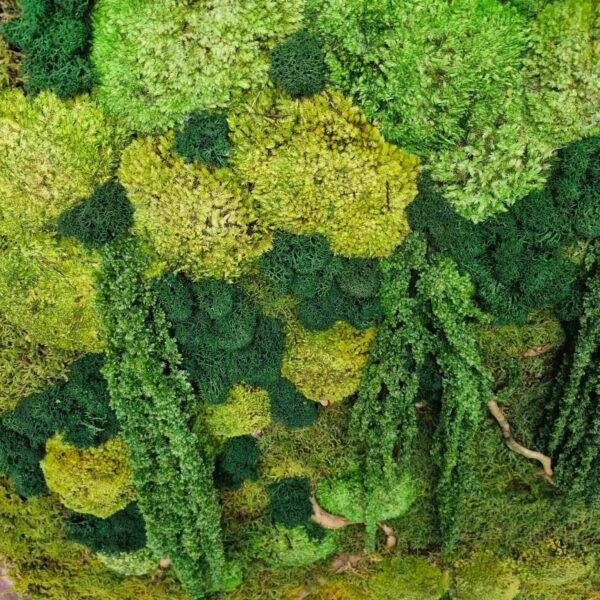 Obraz z mchu mieszanego Jungle Essence