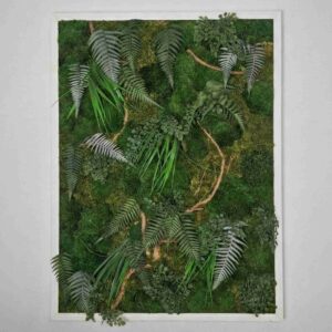 Obraz z mchu mieszanego EverGreen