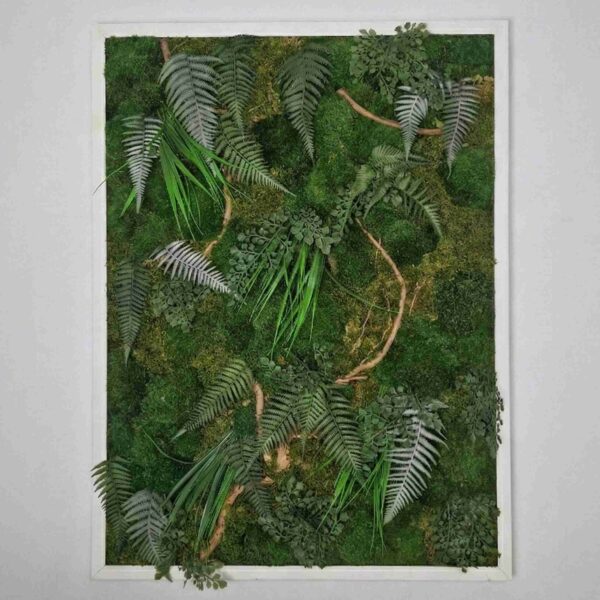 Obraz z mchu mieszanego EverGreen