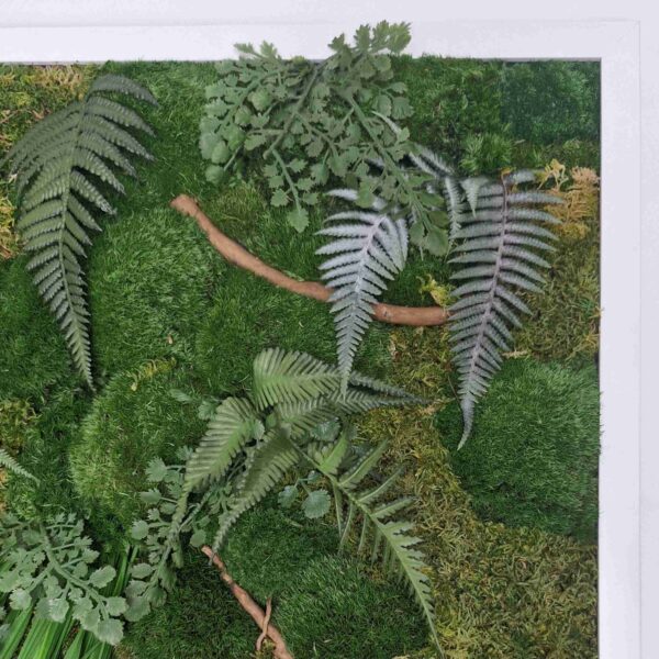 Obraz z mchu mieszanego EverGreen