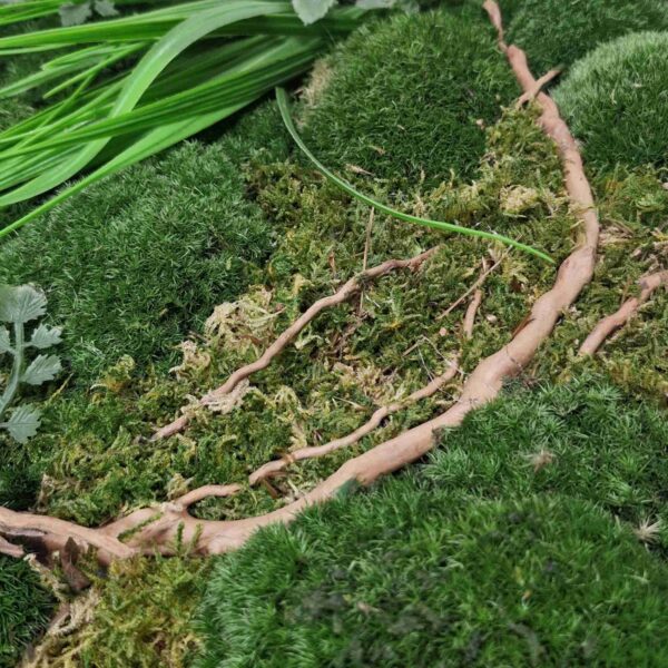 Obraz z mchu mieszanego EverGreen