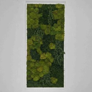 Obraz z mchu mieszanego Gravity