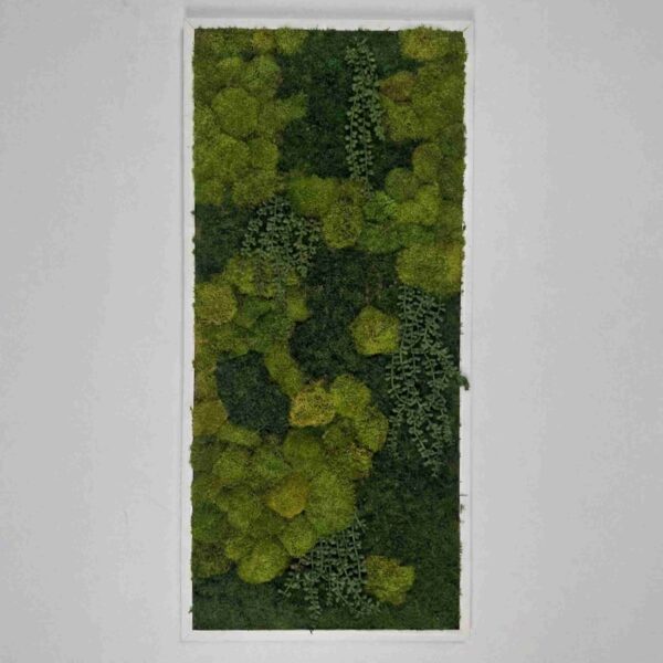 Obraz z mchu mieszanego Gravity