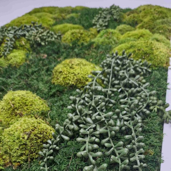 Obraz z mchu mieszanego Gravity