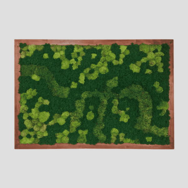 Obraz z mchu mieszanego Green Oasis