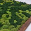 Obraz z mchu mieszanego Green Oasis