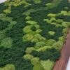 Obraz z mchu mieszanego Green Oasis