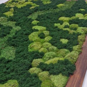 Obraz z mchu mieszanego Green Oasis