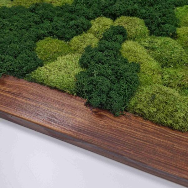 Obraz z mchu mieszanego Green Oasis