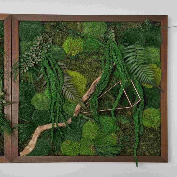 Obraz z mchu mieszanego Jungle Vibe