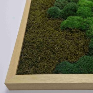 Obraz z mchu mieszanego Verdant River.