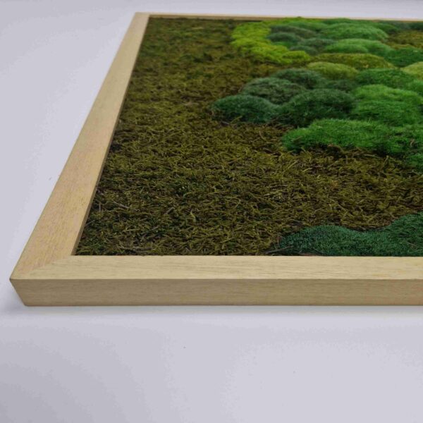 Obraz z mchu mieszanego Verdant River.