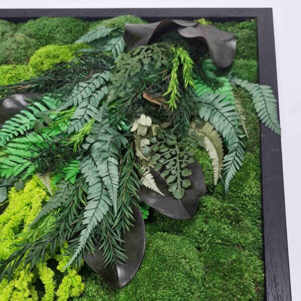 Obraz z mchu poduszkowego Leafy Expression