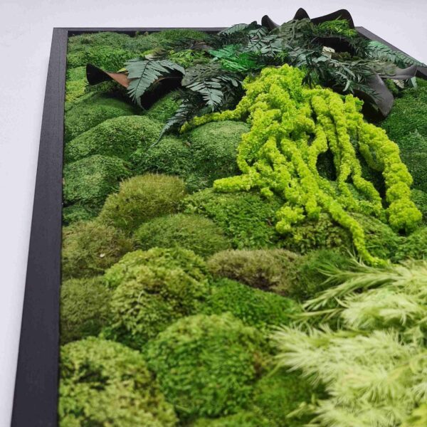 Obraz z mchu poduszkowego Leafy Expression