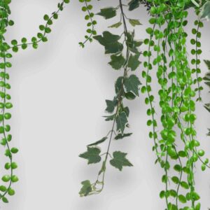 Panel roślinny zielony sufit Botanic Harmony 50x100cm