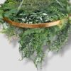 Obręcz roślinna zielony sufit Hanging garden 60cm
